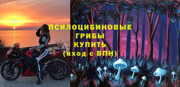 а пвп мука Няндома