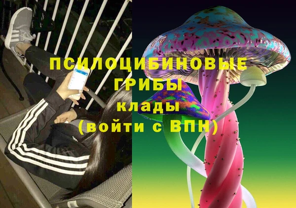 mix Надым